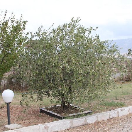 Agriturismo Silos Agri 圣塞韦罗 外观 照片