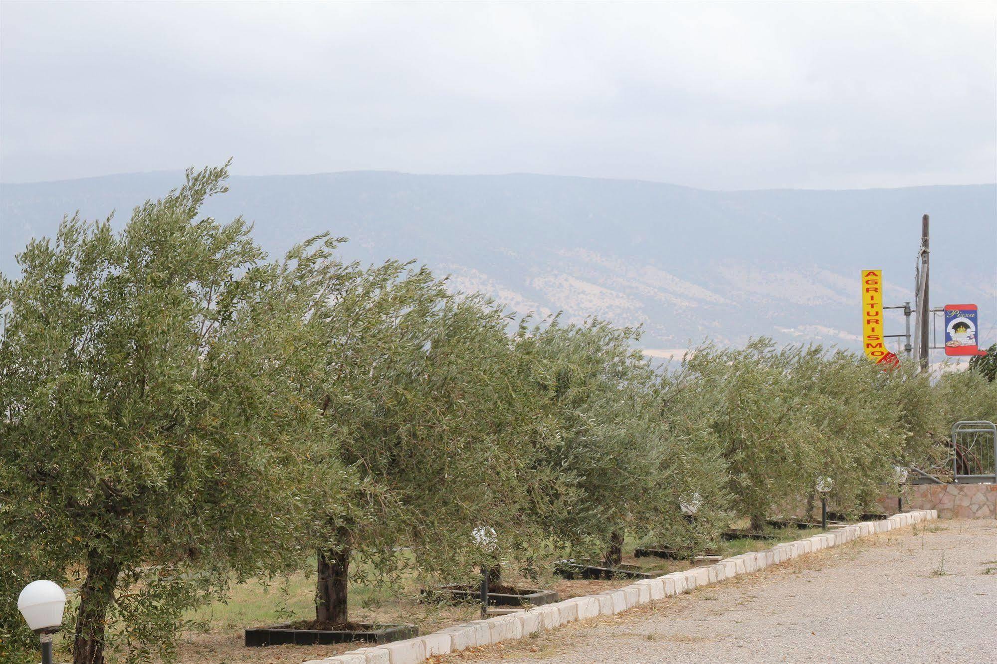 Agriturismo Silos Agri 圣塞韦罗 外观 照片